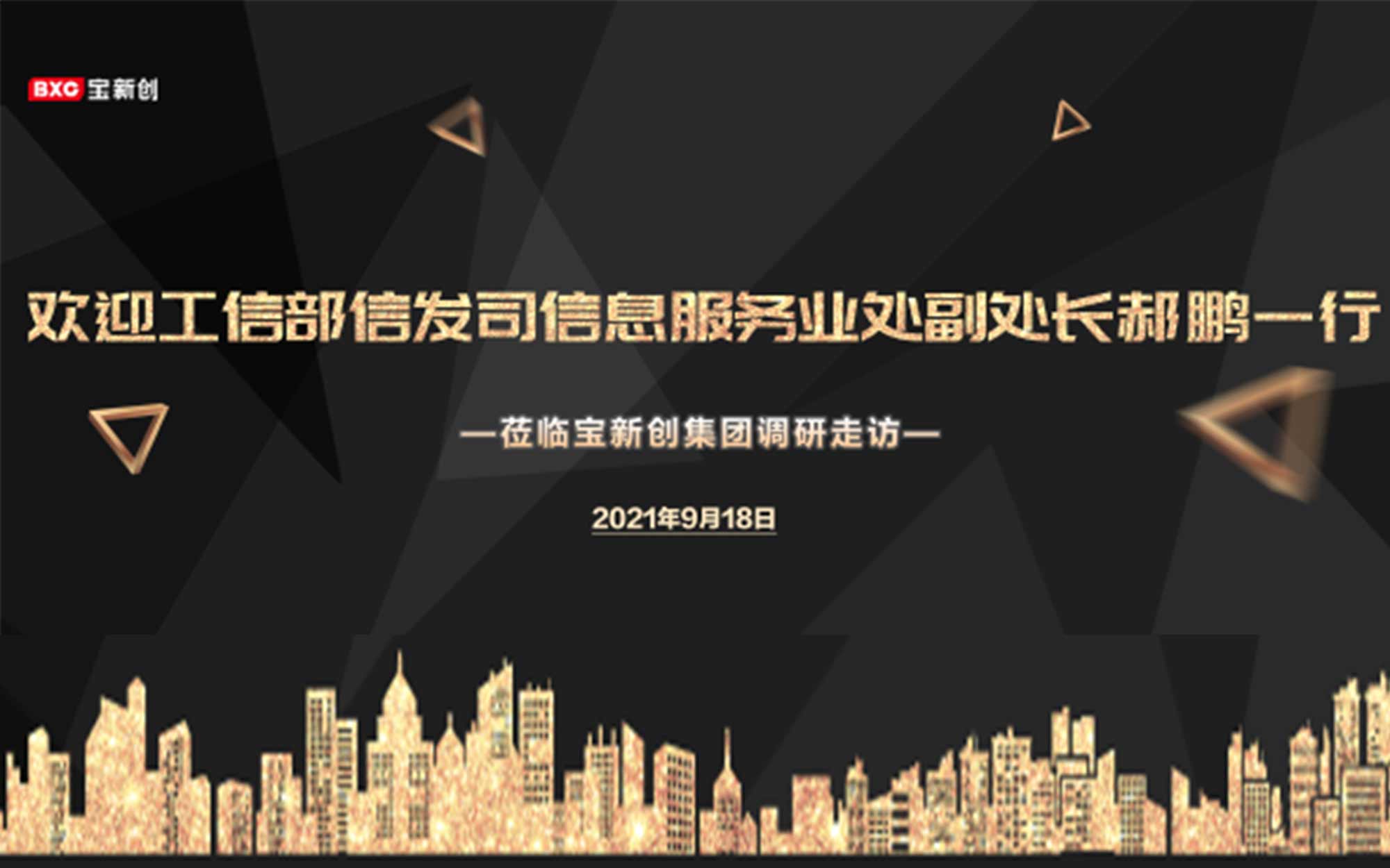 工信部信发司信息服务业处副处长郝鹏一行调研宝新创