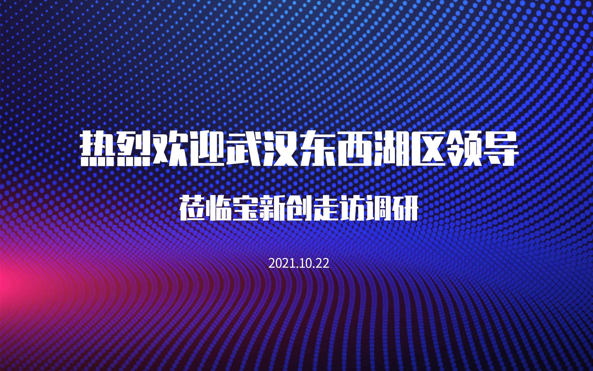 武汉市东西湖区领导莅临宝新创走访调研