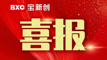 喜报｜硬核突破！宝新创全物料国产化设计项目获评深圳企业创新纪录